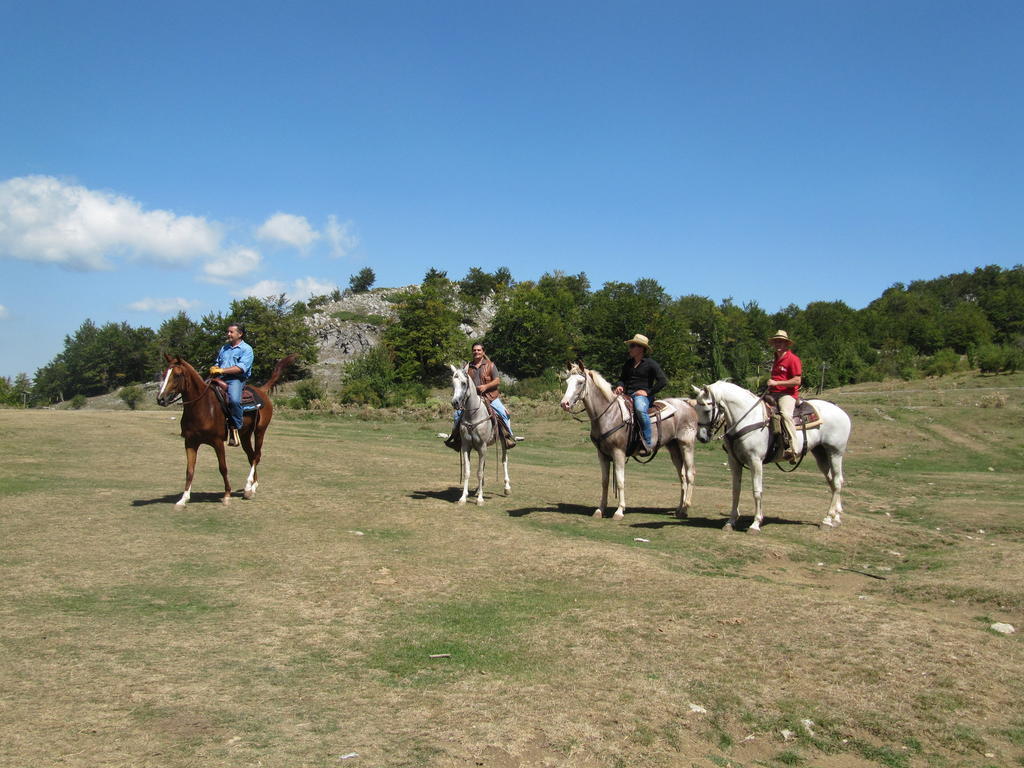 Montagne Rocciose Bed & Breakfast Frascineto Bagian luar foto