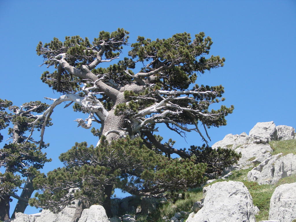 Montagne Rocciose Bed & Breakfast Frascineto Bagian luar foto