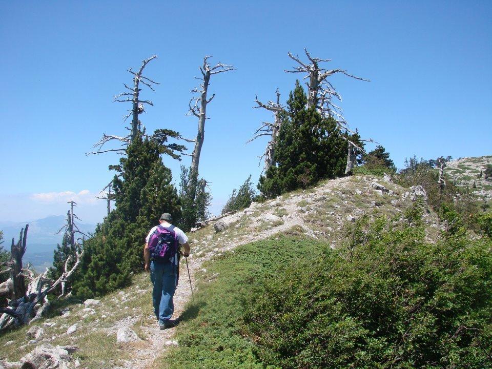 Montagne Rocciose Bed & Breakfast Frascineto Bagian luar foto