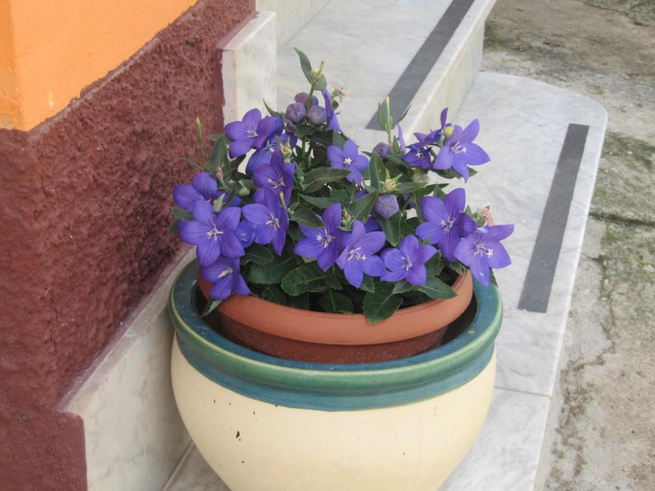 Montagne Rocciose Bed & Breakfast Frascineto Bagian luar foto